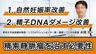 精索静脈瘤を治す必要性について。自然妊娠・不妊治療中の妊娠率が向上。 [upl. by Nilad]