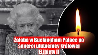 Śmierć ulubienicy królowej Elżbiety II – żałoba w Buckingham Palace [upl. by Lyndes]