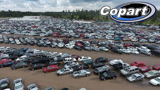 Come Watch The Copart Auto Auction Live On 122023 [upl. by Accebber32]