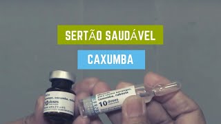 Sertão Saudável Caxumba [upl. by Ramma]