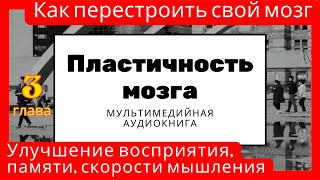 Пластичность мозга Как перестроить свой мозг Улучшение восприятия и памяти скорости мышления [upl. by Ailefo]