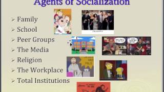 Socialization Lecture [upl. by Kravits170]