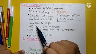 Transcription in Prokaryotes  Genetics  Biochemistry  part 4  Lippincott chap 30  Musk Medics [upl. by Raknahs817]