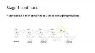 Advanced Concepts Presentation 7 Cholesterol Biosynthesis and Lovastatin Inhibition [upl. by Ras]