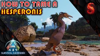 ARK SURVIVAL ASCENDED HOW TO TAME A HESPERONIS [upl. by Soule]