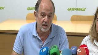 Greenpeace presenta informe sobre El Algarrobico [upl. by Budwig]