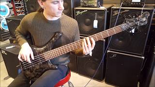 Mayones Comodous 5 String Demo [upl. by Eintihw664]