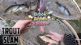 TROUT Fishing in a Public Park Brook Brown amp Rainbow TROUT SLAM [upl. by Bendick]