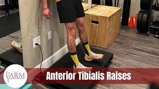 Anterior Tibialis Raises [upl. by Ultun]