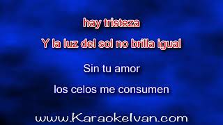 Jose Luis Rodriguez  Celoso KARAOKE [upl. by Niklaus886]