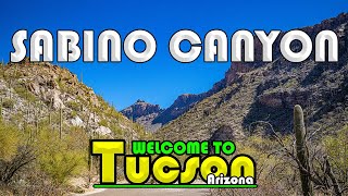 Tucson Arizona  Sabino Canyon [upl. by Yelkcub443]