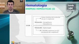 Hematologia 1v 1 Tutoría [upl. by Rezal269]