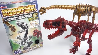 ほねほねザウルス×福井県立恐竜博物館SP 全８種 開封 Dinosaur Figure スペシャル フクイティタン ティラノサウルス 食玩 Japanese candy toys [upl. by Darnoc]