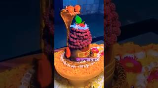 Shiv Ling  Har Har Mahadev  shiv bhola   Viral shiv ji  Viral shorts [upl. by Otes663]