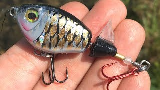 UltraLight Whopper Plopper  One Day Build to Catch [upl. by Anima]