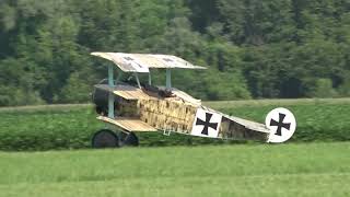 National Warplane Museum Geneseo Air Show 2024 Fokker D VII amp Dr I triplane replicas [upl. by Bea448]