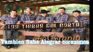 Detalles los tigres del norte con letra [upl. by Assyle233]