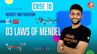 Heredity and Evolution L5  3 Laws of Mendel  CBSE Class 10 Biology Chapter 9  Term 2  Vedantu [upl. by Convery306]