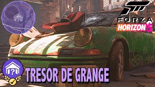 FORZA HORIZON 5 TRÉSOR DE GRANGE  OÙ TROUVER LA PORSCHE 911 CARRERA RS 1973  LOCALISATION [upl. by Wehner]