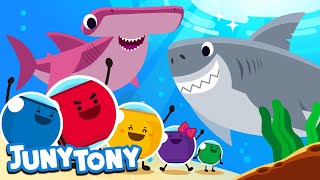 Marshmallows and the Sharks  Marshmallow Song for Kids  Lets Find Mimis Ribbon  JunyTony [upl. by Anabal995]