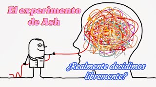 Episodio 35 El experimento de Asch [upl. by Enigroeg660]