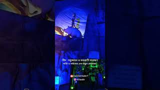 An offbeat theme based Jagadhatri Puja Chandannagore jagadhatripuja jagadhatri2024 chandannagore [upl. by Lorre]