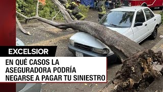 ¿Los seguros de auto cubren afectaciones por desastres naturales [upl. by Tripp]