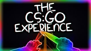 THE CSGO EXPERIENCE [upl. by Aed]