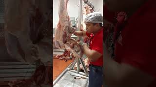 Beef hind quarter breakdown and deboning [upl. by Husain]