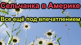 Сельчанка в Америке Все ещё под впечатлением [upl. by Brendis]