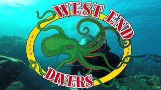 Diving in Roatan with West End Divers [upl. by Sutherlan]