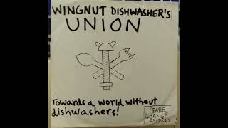 Wingnut Dishwashers Union  Picking Sides [upl. by Irrehs]