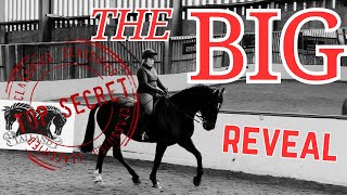 THE BIG REVEAL HOOF CAMP AT TALLAND SCHOOL OF EQUITATION JUMPINGDRESSAGE LESSON VLOG [upl. by Assili195]