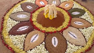 நவதானிய ரங்கோலி கோலம்  Navathaniyam Rangoli kolam  நவதானியங்கள்  9 Grains in tamil [upl. by Namzaj192]