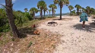 Canaveral national seashore mosquito lagoon island Hopping nationalpark jonboat [upl. by Gleich]