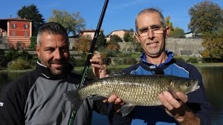 Trabucco TV  Pesca a bolognese sul fiume Oglio [upl. by Brockwell]