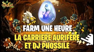 DOFUS Farm UNE HEURE la Carrière Aurifère amp le Donjon Phossile  Enutrosor  2 [upl. by Cj171]