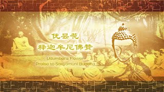 Praise to Sakyamuni Buddha Udumbara Flower 优昙花  释迦牟尼佛赞 [upl. by Adnicul398]