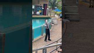 Famous Viral Mime messing with SeaWorld Guests seaworldmime mime silentcomedy tomthemime [upl. by Leunamnauj]