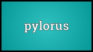 Pylorus Meaning [upl. by Dviad240]