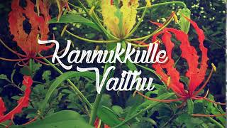 Tamil Eelam Song  Kannukkulle Vaithu [upl. by Zzaj]