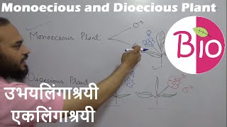 Difference in Monoecious and Dioecious Plants उभयलिंगाश्रयी एकलिंगाश्रयी by Simply The Best BIO [upl. by Genevieve]