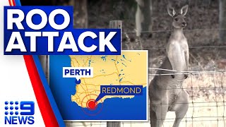 Man dies after kangaroo attack  9 News Australia [upl. by Akinas581]