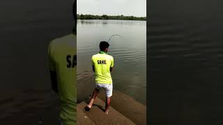 fishing in Goa Divar island [upl. by Euqinoj]