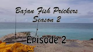 Bajan Fish Prickers Season 2 Episode 2 [upl. by Ertemed999]