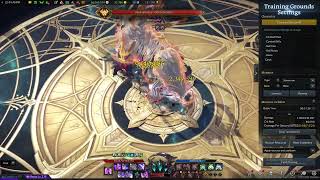 Lost Ark 1615 Nights Edge Souleater 211m DPS Test [upl. by Lohcin]