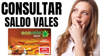 🛒CÓMO CONSULTAR el SALDO de los VALES MyEdenred Wallet vía SMS o en línea [upl. by Tamis]