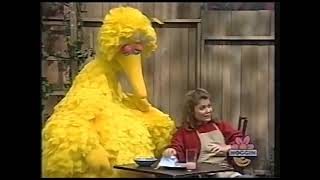 Sesame Street Episode 3166 January 3 1994 [upl. by Hsihsa]