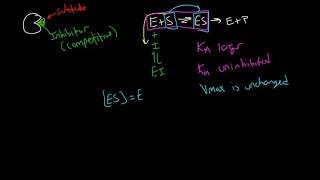 Competitive Inhibition Plots [upl. by Etnoek]