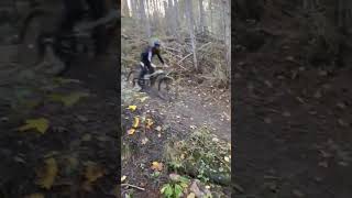 Session Evo bike Park 🔥🔥 mtbenduro dh [upl. by Ecinnej]